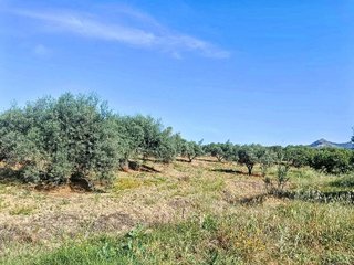 Terreno en venta en Alhaurín el Grande