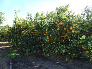 Terreno en venta en Bítem en Tortosa