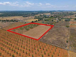 Solar en venta en Santa Margalida en Santa Margalida