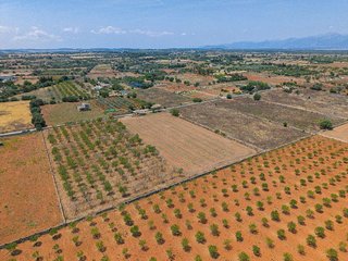 Solar en venta en Santa Margalida en Santa Margalida