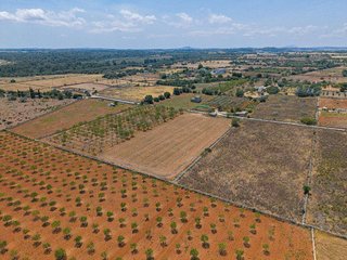 Solar en venta en Santa Margalida en Santa Margalida