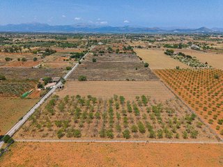 Solar en venta en Santa Margalida en Santa Margalida