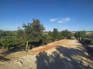 Nave industrial en venta en Sur en Jerez de la Frontera
