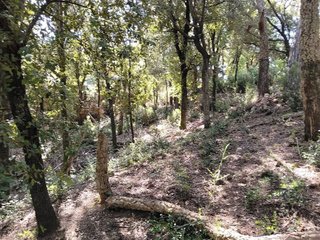 Terreno en venta en Sant Celoni