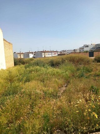 Terreno en venta en Bollullos Par del Condado