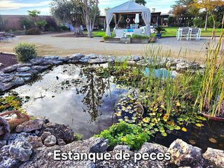 Chalet en venta en Partides de Lleida en Lleida