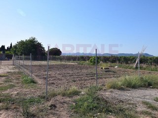 Terreno en venta en Massamagrell