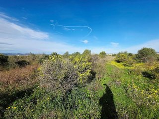 Terreno en venta en Cariñena - Carinyena en Villarreal