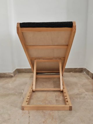 Rampa para perros ajustable