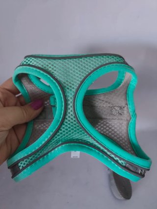 Arnés talla S y Correa para Perro/Gato Nuevo.