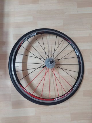 Ruedas ROVAL NUEVAS