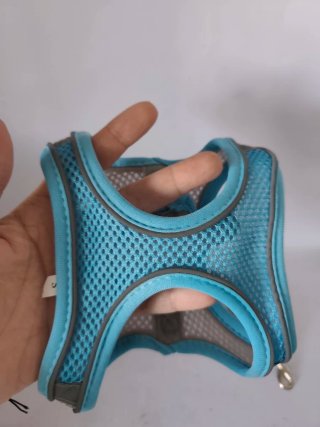 Arnés y correa para perros/gatos Talla S nuevo.