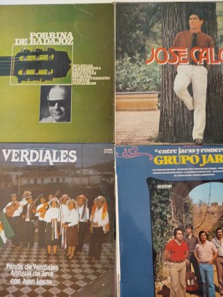 Lote 26 discos Vinilo Flamenco y Sevillanas
