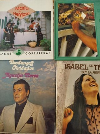 Lote 26 discos Vinilo Flamenco y Sevillanas