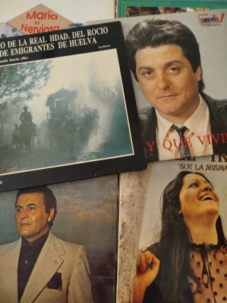 Lote 26 discos Vinilo Flamenco y Sevillanas