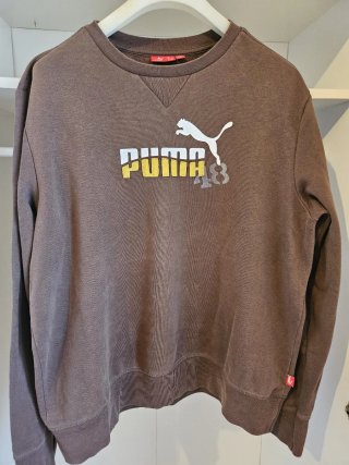 Sudadera Puma Marrón