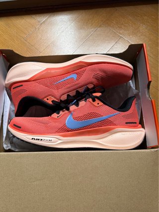 Nike Air Zoom Pegasus 41