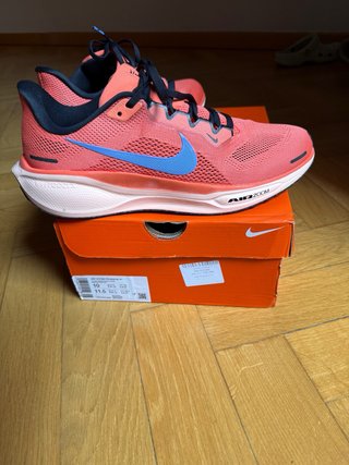 Nike Air Zoom Pegasus 41