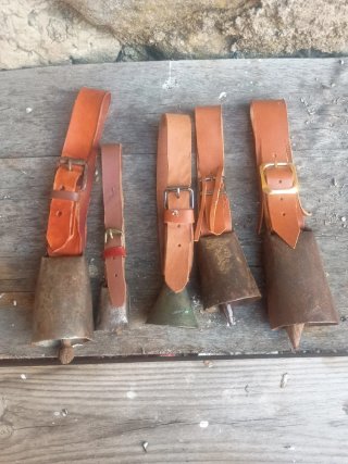 Lote Cencerros Antiguos con Correas Nuevas