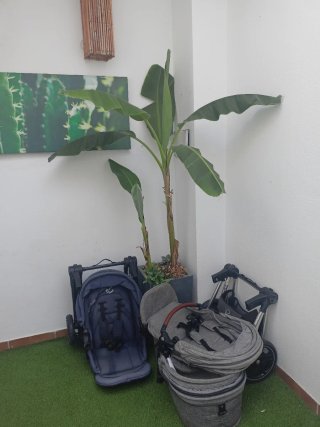 Carrito y Capazo Jané - Buen Estado