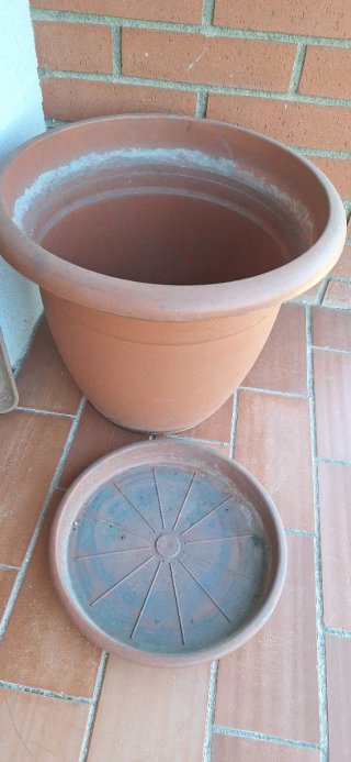 Maceta grande de plástico marrón