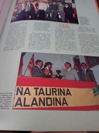Revista taurina