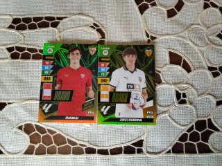 Cartas Panini Bravo 2023-2024