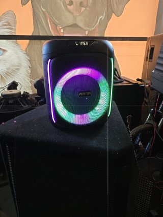 Altavoz Fenton Batería Portátil