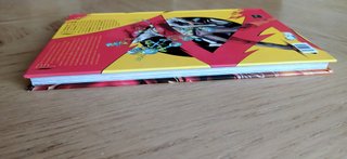 Flash Renacimiento DC Comics