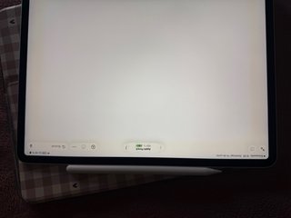 iPad Pro 12.9 (3ª Gen) gris + accesorios