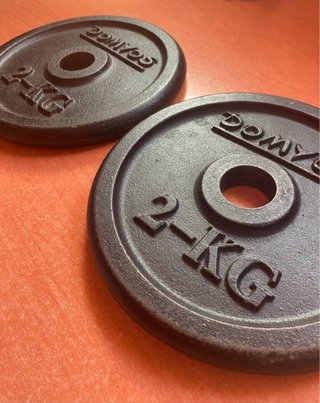 2 Discos de Pesas Domyos 2KG