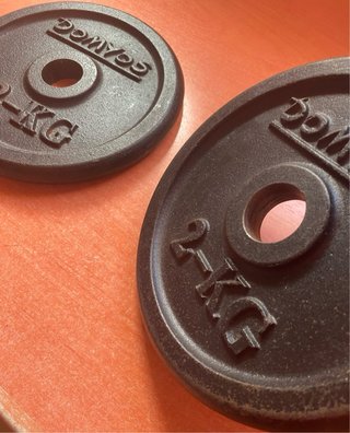2 Discos de Pesas Domyos 2KG