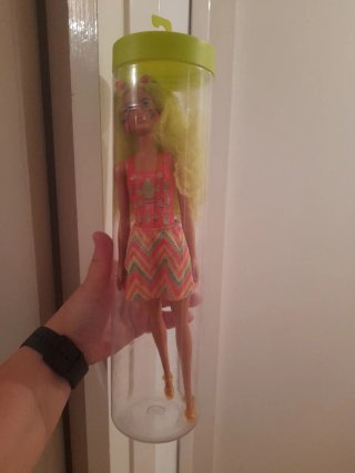 Barbie en tubo con accesorios más perrito