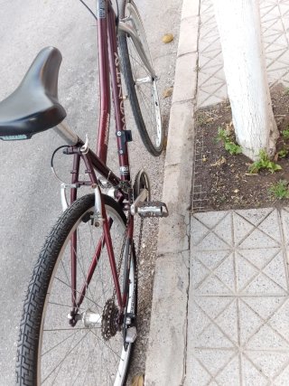 Bicicleta Paseo Monty