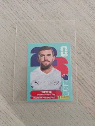 Cromo Tim Payne Mundial 2026 Panini
