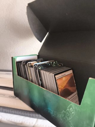 Caja Magic The Gathering Tierras