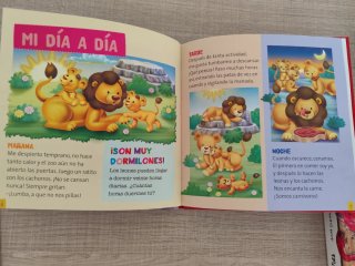 Libros infantiles leones