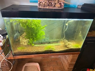 Acuario 200L