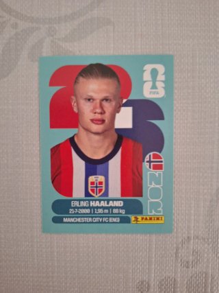 Cromo Mundial Haaland