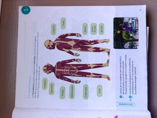 Conocimiento del medio 3 Primaria : Proyecto Co...