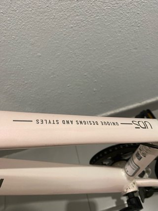 Bicicleta Rali Pro 20’