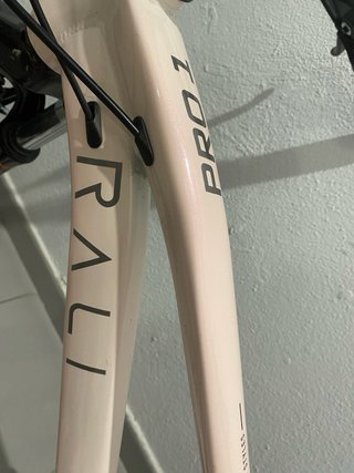 Bicicleta Rali Pro 20’