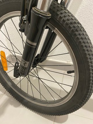 Bicicleta Rali Pro 20’