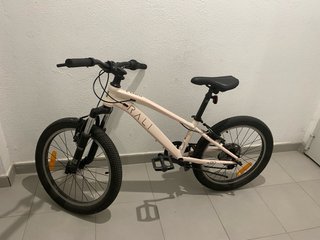 Bicicleta Rali Pro 20’