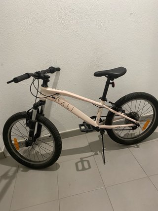 Bicicleta Rali Pro 20’