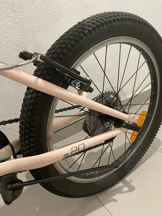 Bicicleta Rali Pro 20’