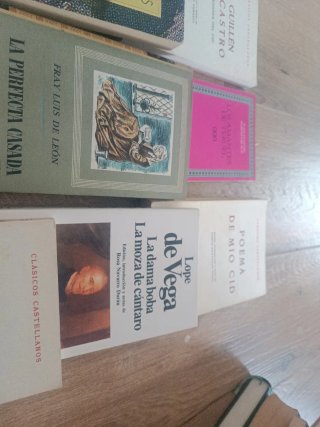 Libros de literatura española