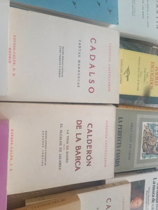 Libros de literatura española