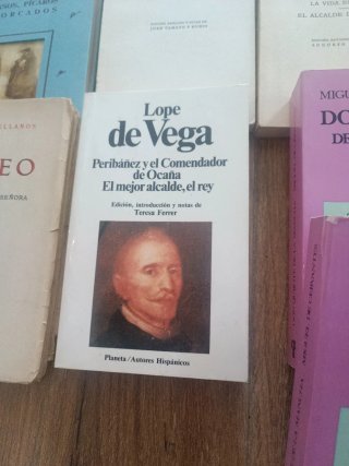Libros de literatura española