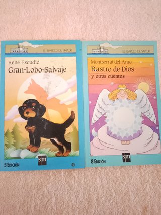 LOTE (VI) DE 10 LIBROS EL BARCO DE VAPOR (azules)